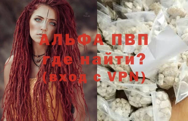 спиды Бородино
