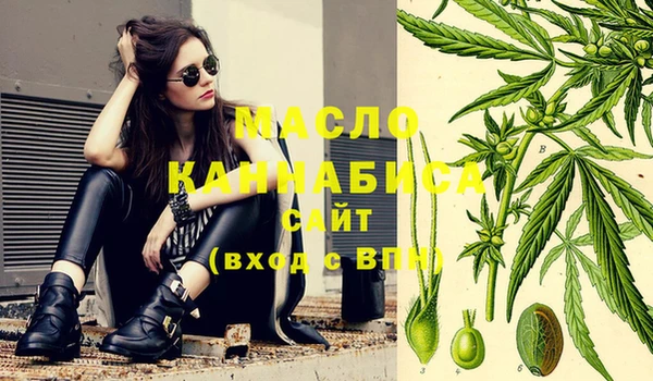 спиды Бородино